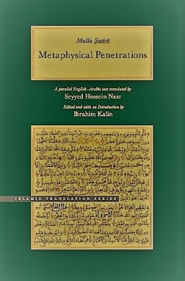 Metaphysical Penetrations pdf download