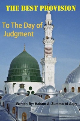 The Best Provision to the Day Of Judgement pdf