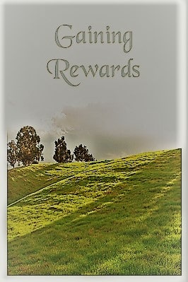 Gaining Rewards pdf book download