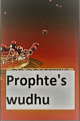 Prophet Wudhu pdf book download