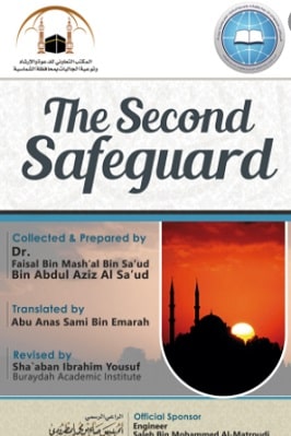 THE SECOND SAFEGUARD 