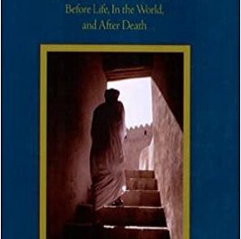 The Lives of Man – A Sufi Master Explains The Human States pdf download