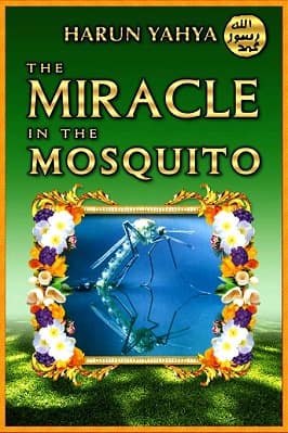 The Miracle in the Mosquito by Harun pdf download