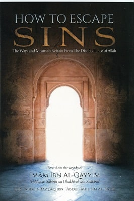 How to Escape Sins pdf download