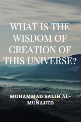 WHAT IS THE WISDOM OF CREATION OF THIS UNIVERSE?