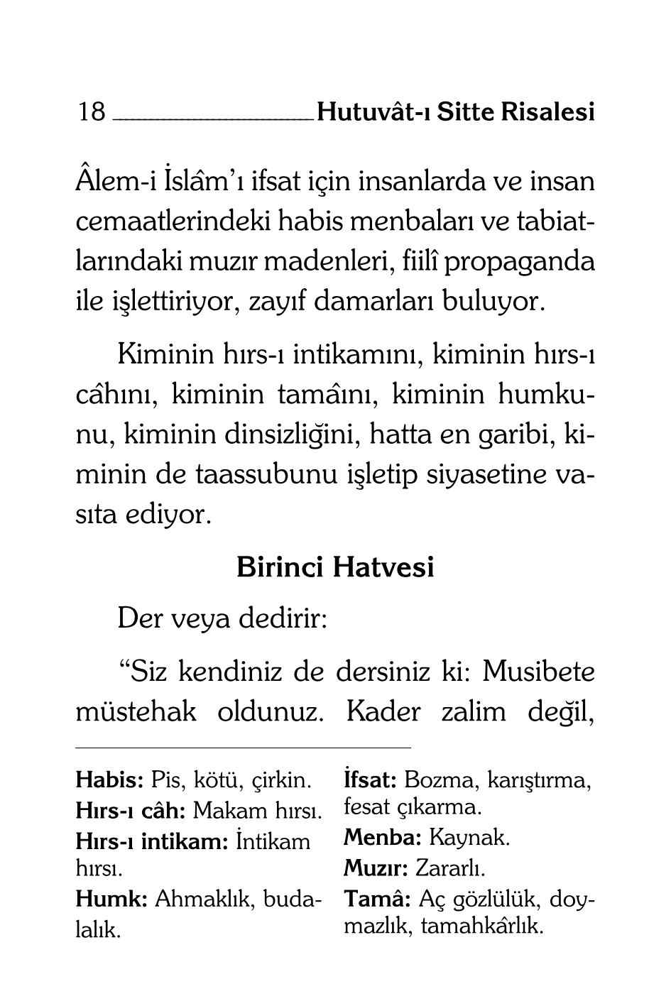 B Said Nursi - Hutuvat-ı Sitte Risalesi (Kelime Aciklamali) - SahdamarY.pdf, 49-Sayfa 