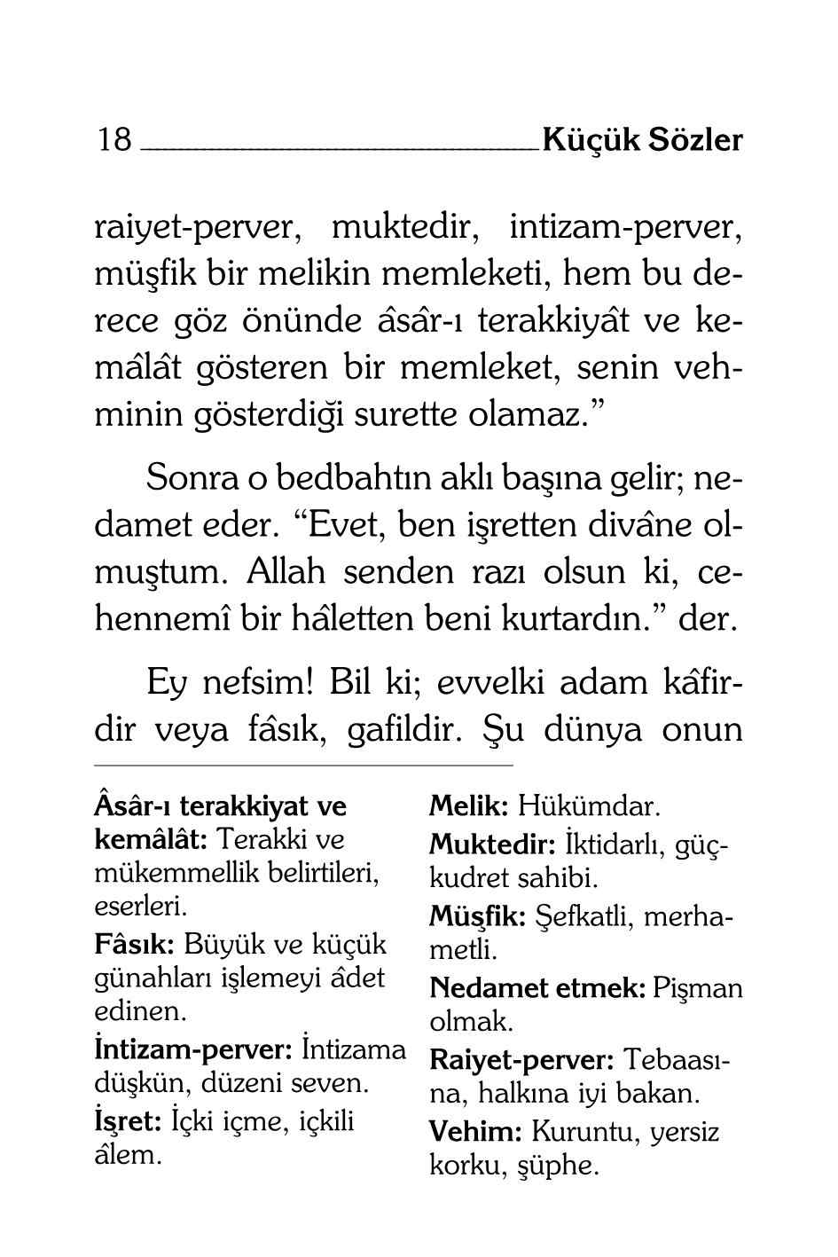 B Said Nursi - Kucuk Sozler (Kelime Aciklamali) - SahdamarY.pdf, 217-Sayfa 
