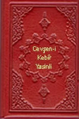 Cevsen - Yasinli - DefineYayinlari.pdf - 1.79 - 81