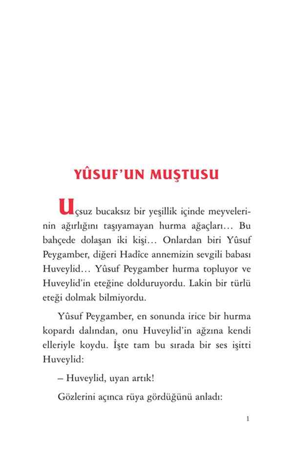 GÜL DEVRİ 6 HZ HATİCE.pdf, 94