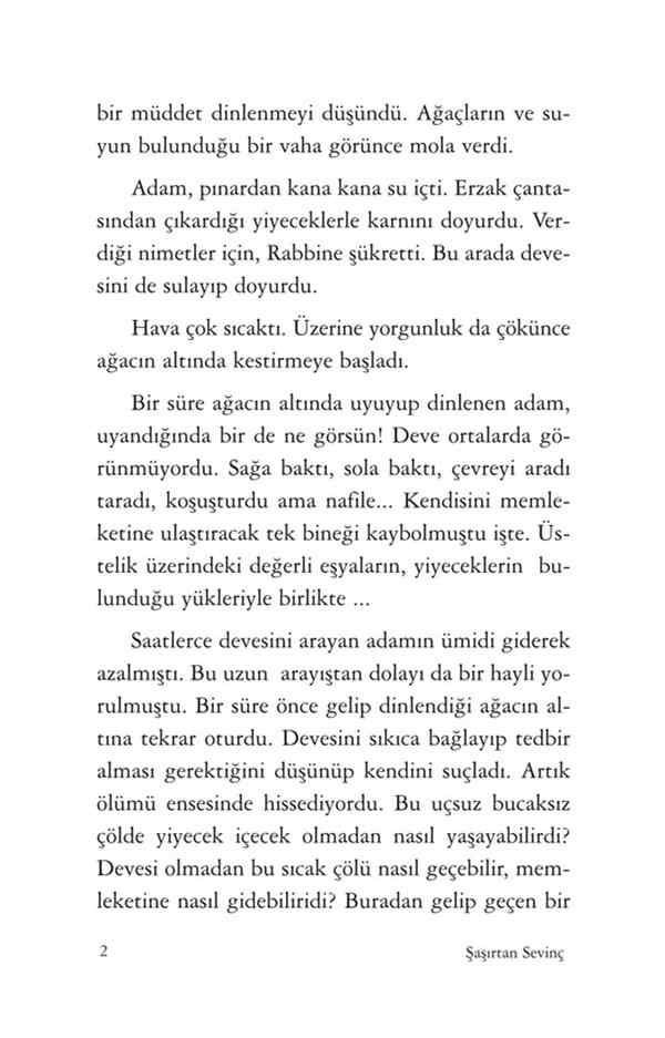 HADİS HİKAYELERİ 1 ŞAŞIRTAN SEVİNÇ.pdf, 93