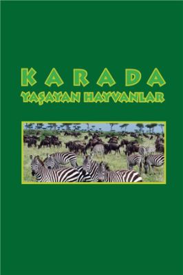 HARİKA HAYVANLAR pdf