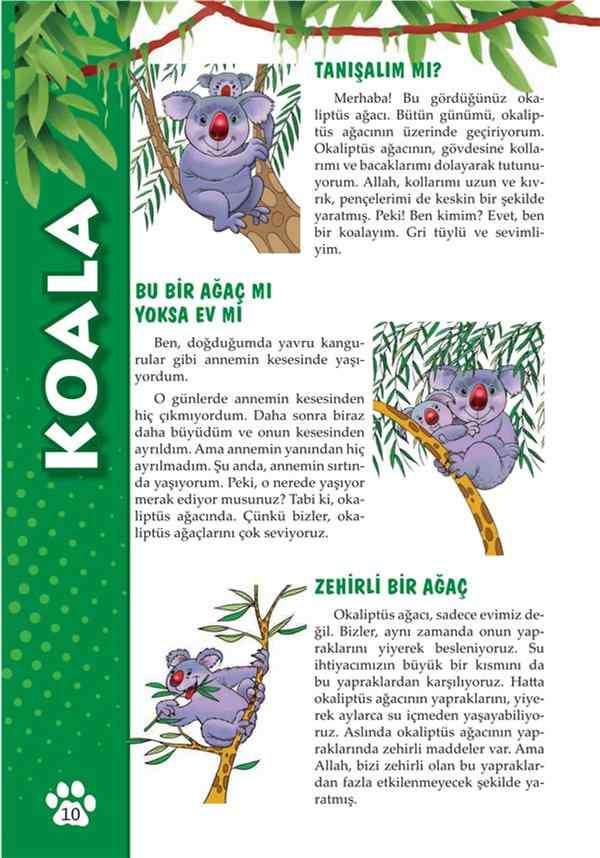 HARİKA HAYVANLAR.pdf, 109