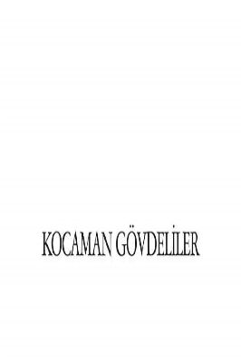 HÜNERLİ HAYVANLAR SERİSİ KOCAMAN GOVDELİLER.pdf - 4.55 - 55