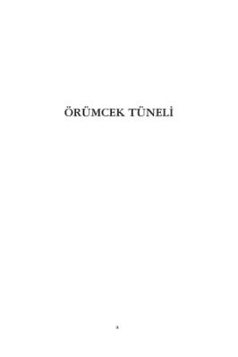 İBRETLİ MASALLAR SERİSİ 2 ÖRÜMCEK TÜNELİ.pdf - 12.4 - 141