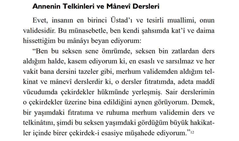 Ihsan Kasim Salihi - Davut Ayduz - Cagin Devasa Tanigi B Said Nursi - SahdamarY.pdf, 145-Sayfa 