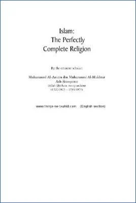Islam: The Perfectly - 0.64 - 41