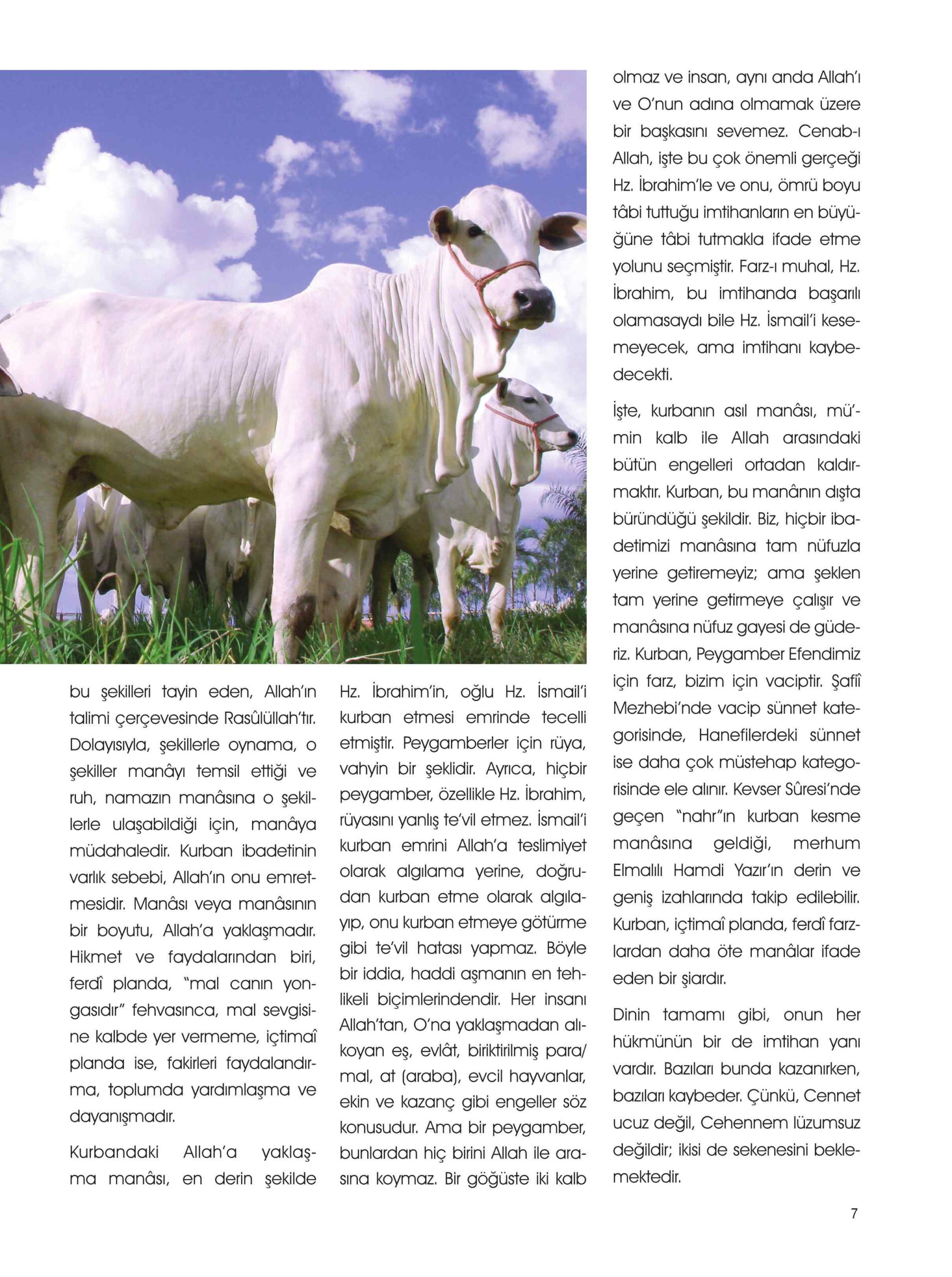 Kurban Dergisi (2006) - RehberYayinlari.pdf, 64-Sayfa 