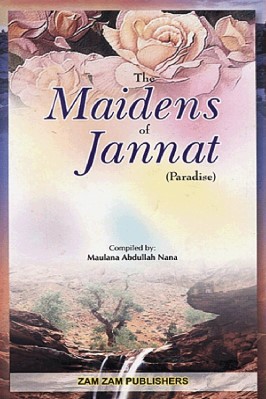 Maidens Of Jannat pdf