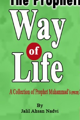 Prophetic Way Of Life Rah E Amal - 49.02 - 338