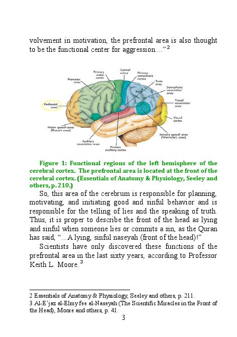 The Quran on the Cerebrum-420399.pdf, 3- pages 