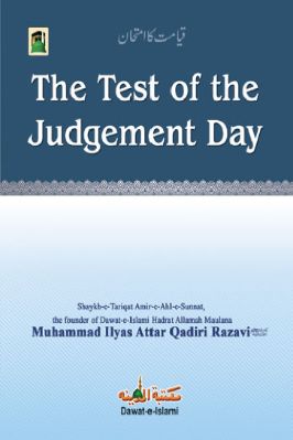 The Test of Judgement Day pdf