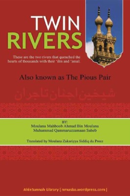 Twin Rivers pdf