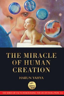 THE MIRACLE OF HUMAN CREATION - 2.2 - 187