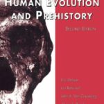 Encyclopedia of Human Evolution and Prehistory - 30.71 - 780