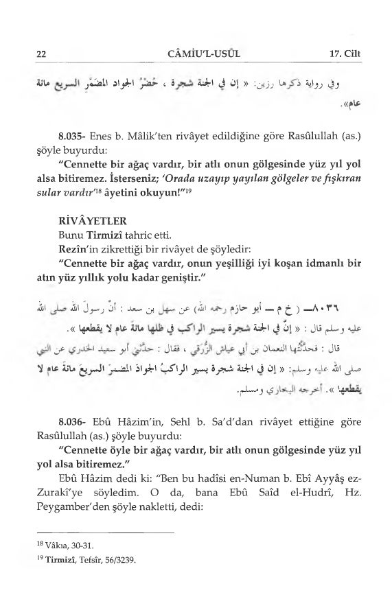 Camiu'l-Usul-İbnu'l-Esir-17.Cilt.pdf, 743-Sayfa 