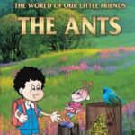 World of our little Friends: The Ants - 2.09 - 42