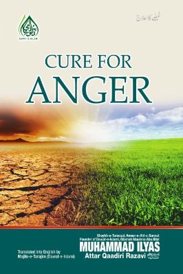 Cure for Anger pdf