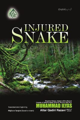 Injured Snake pdf