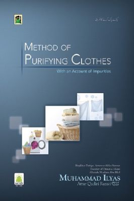 Method of Purifying Clothes pdf